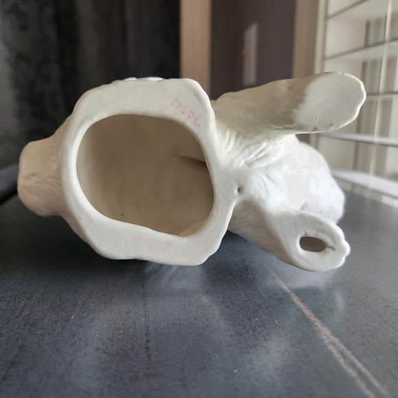 White Rabbit - Picture 4 of 4